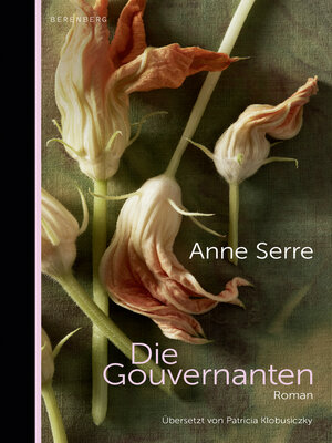 cover image of Die Gouvernanten